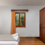 Apartman Pool House In Greenery - Happy Labin (Istria)