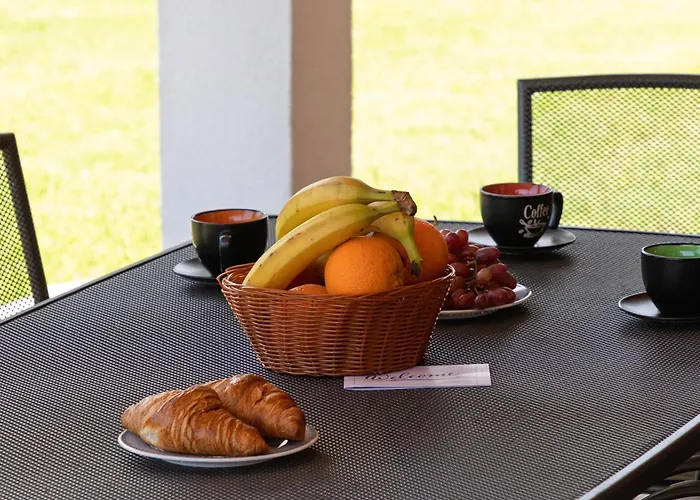 Pool House In Greenery - Happy